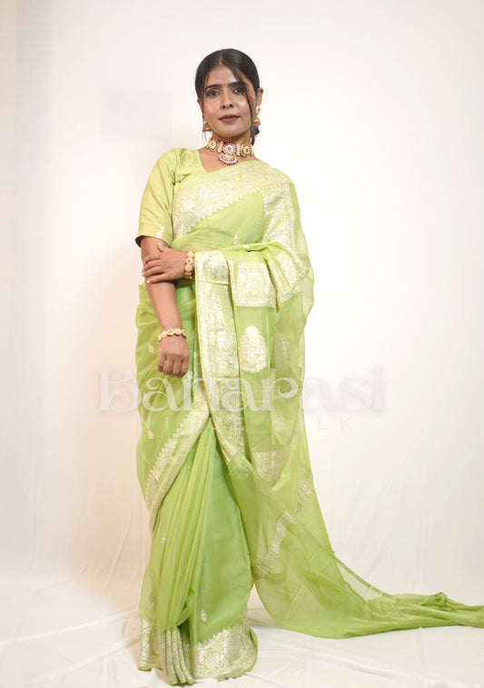 Light Green Pure Georgette Banarasi Saree