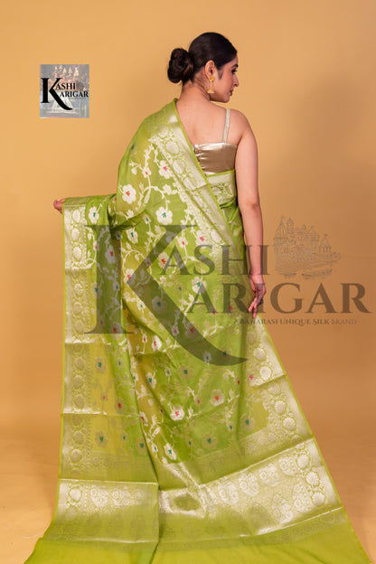 Light Green Banarasi geprgette Saree All over jaal silver zari work meenakari